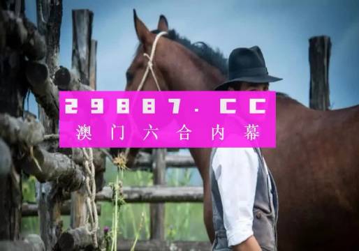 澳门码鞋一肖一码,深度分析解释定义_CT16.14