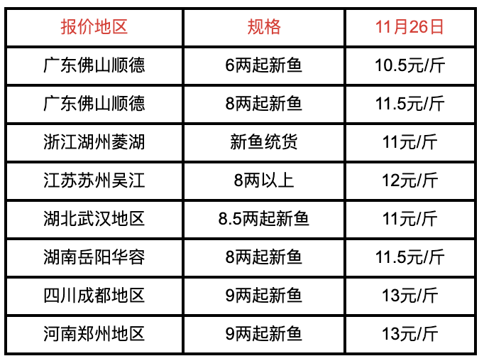 今日全国鱼市最新价格分析与展望