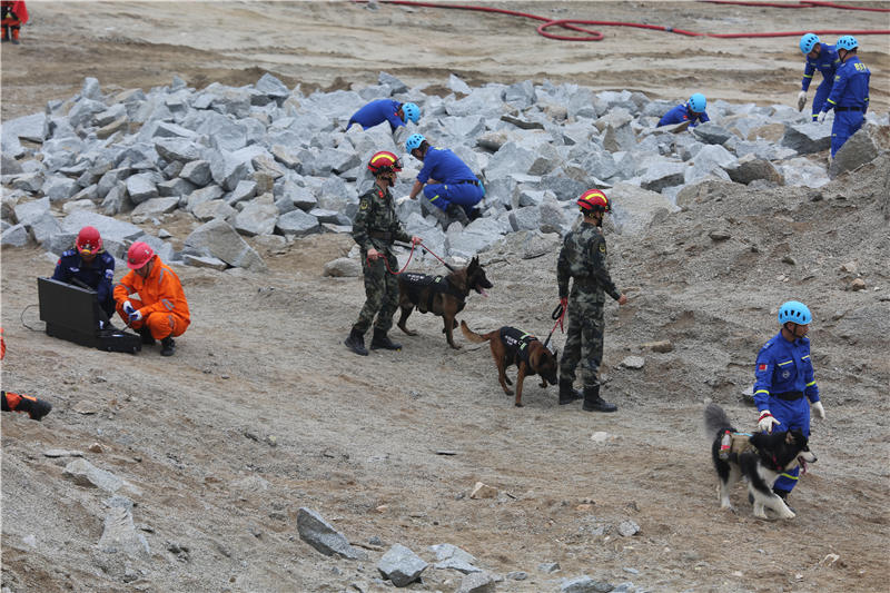 秭归地震最新动态，影响分析及后续关注